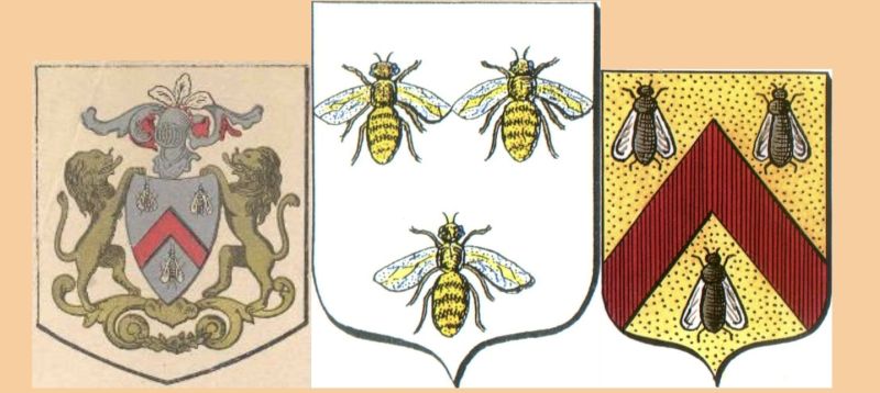 Fichier:Blason-Bernard-ALFI.jpg
