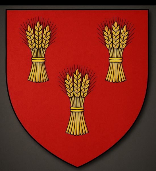 Fichier:Blason-Descamps-historique.jpg